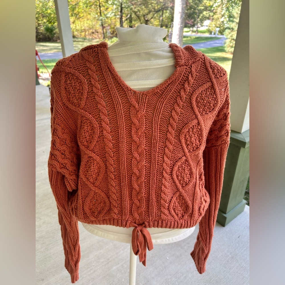 ❤️NWOT-Aeropostale Terracotta V-Neck Sweater - Picture 2 of 6